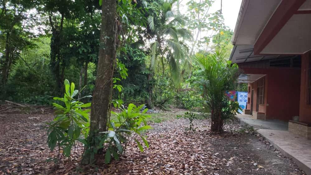 Hostel Manuel Antonio Park Jungle מראה חיצוני תמונה